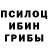 Галлюциногенные грибы Psilocybe r/gatekeeping