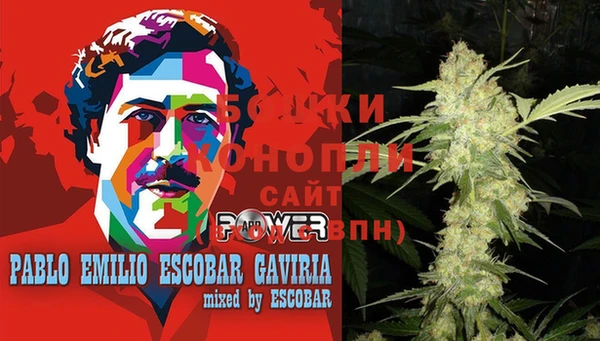 дурь Арсеньев